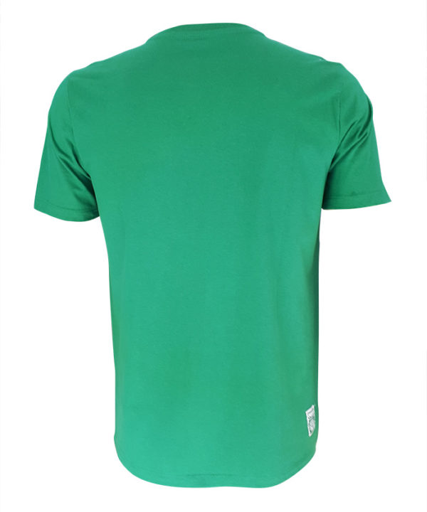 Camiseta Graphic Palmeiras 2019/20 Verde