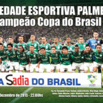 Placa Campeão Copa do Brasil 2015