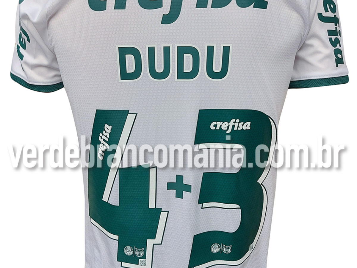 Camisa II Palmeiras 2023/24 Torcedor