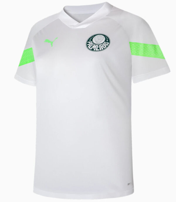Camisa Treino Feminina Palmeiras 2023/24 Bran