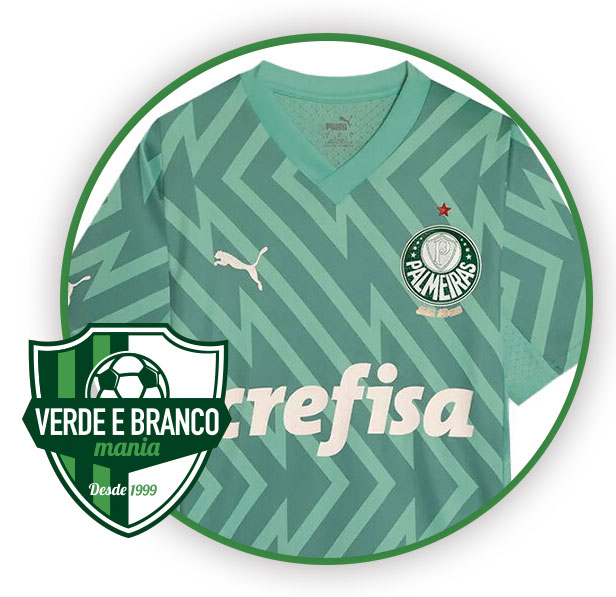 Camisa Goleiro Palmeiras